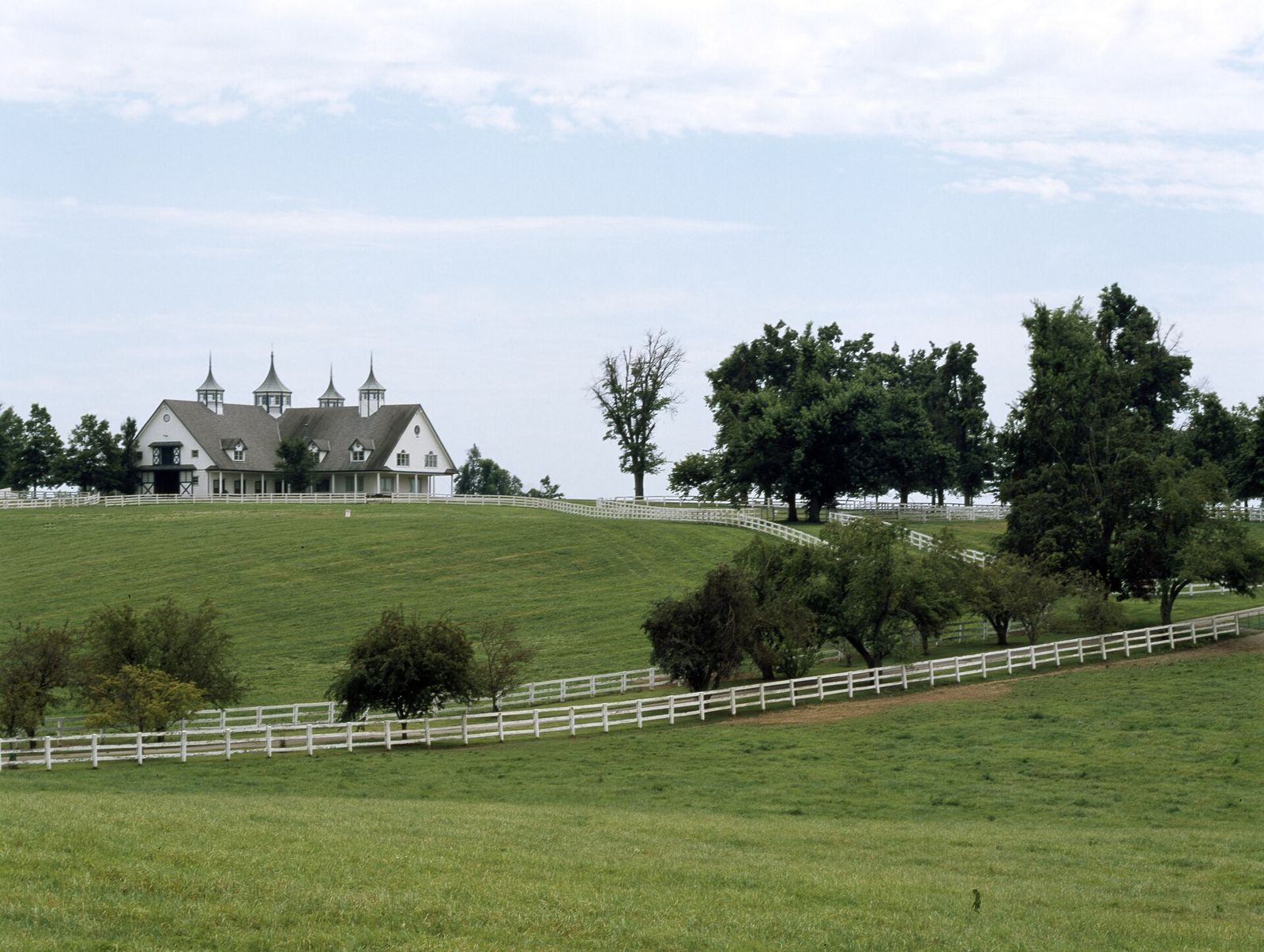 White fences and green pasture on a Kentucky horse farm